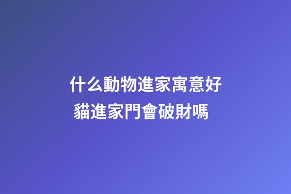 什么動物進家寓意好 貓進家門會破財嗎